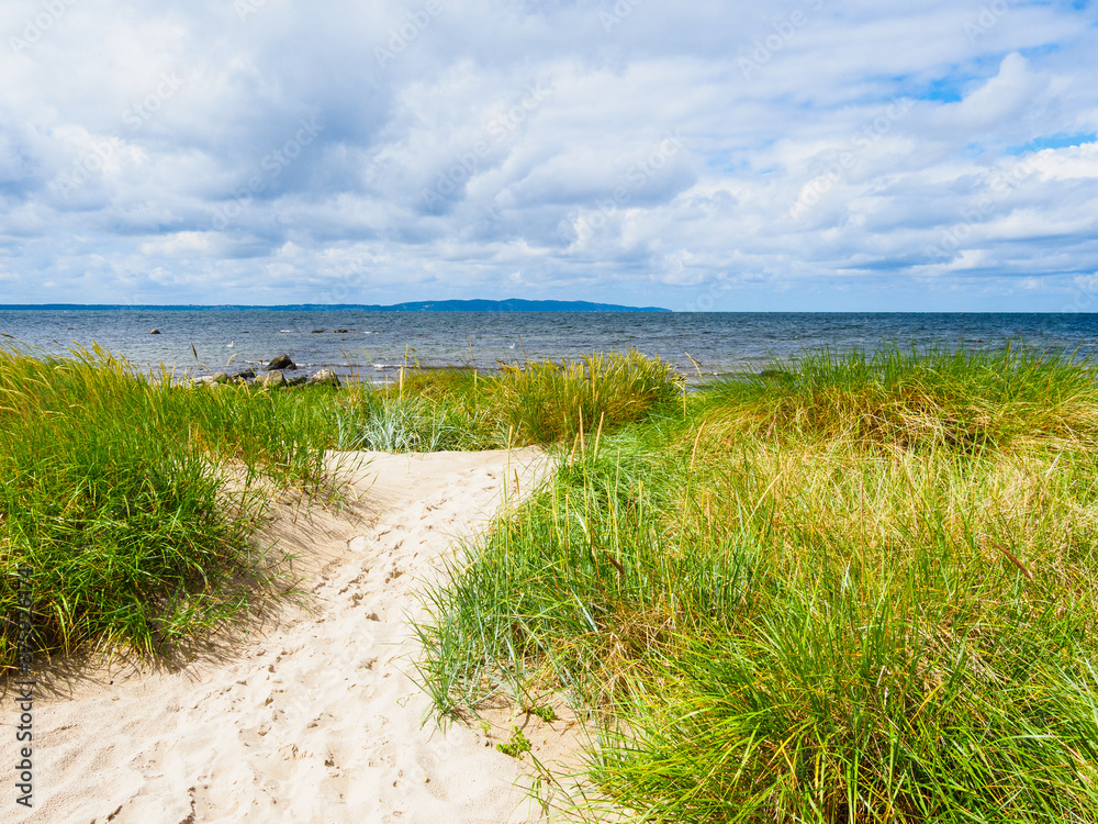 Beach and grass on the southern region of Sweden Beach and grass on the southern region of Sweden