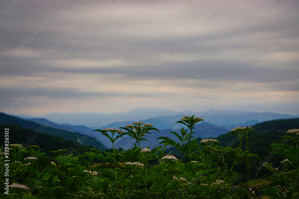 Fototapeta premium Mountains at the morning
