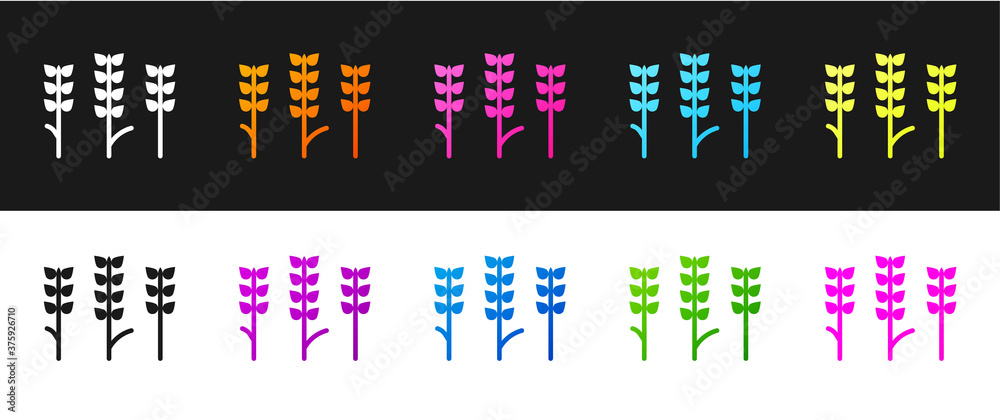 Set Cereals set with rice, wheat, corn, oats, rye, barley icon isolated on black and white background. Ears of wheat bread symbols. Vector. Set Cereals set with rice, wheat, corn, oats, rye, barley icon isolated on black and white background. Ears of wheat bread symbols. Vector.
