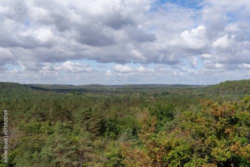 View of the Chanfroy plain in Fontainebleau forest