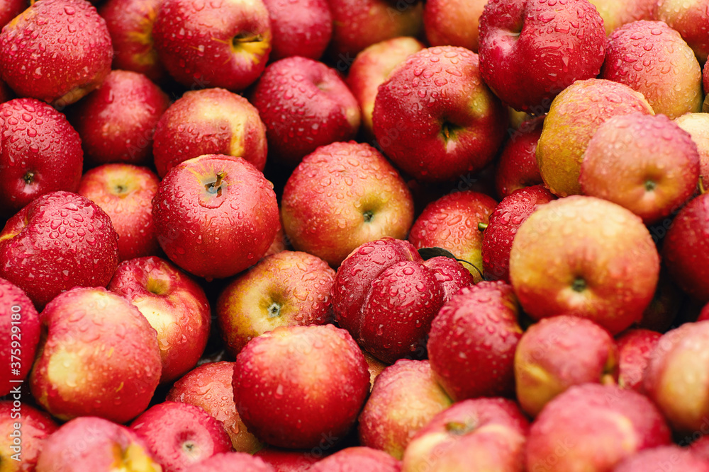 Close up red apples on farm market with rain drops