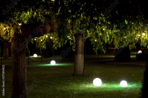 backyard garden with round balls of ground lanterns on mowed lawn and garlands on branches of deciduous trees on summer night, romantic backlit landscape, nobody.