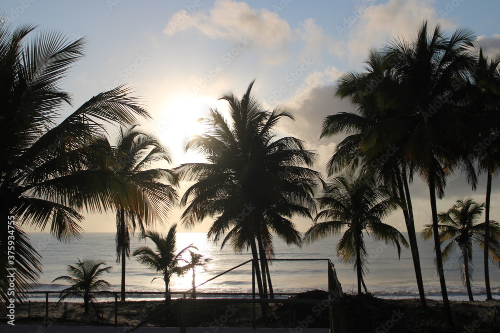 Fototapeta premium beach es