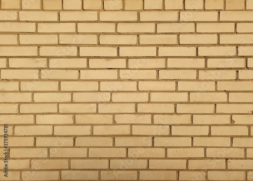 brick wall surface, full screen image, front view