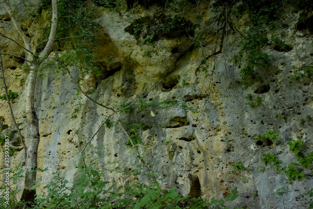 Among the high rocks, a blue mountain river flows in the canyon. The rocks are overgrown with forest, they form a picturesque landscape. Among the high rocks, a blue mountain river flows in the canyon. The rocks are overgrown with forest, they form a picturesque landscape.