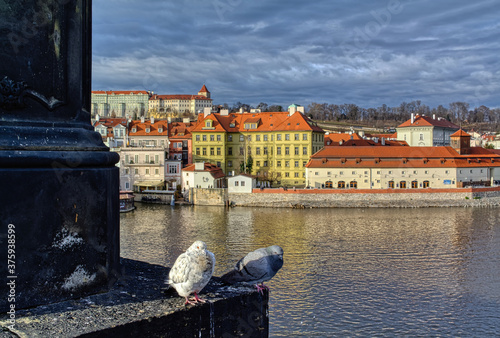 Close-up view of two pigeons standing on the Charles Bridge in Prague, Czech Republic. The Lesser Town and the Castle on the hilltop are seen in the background.

