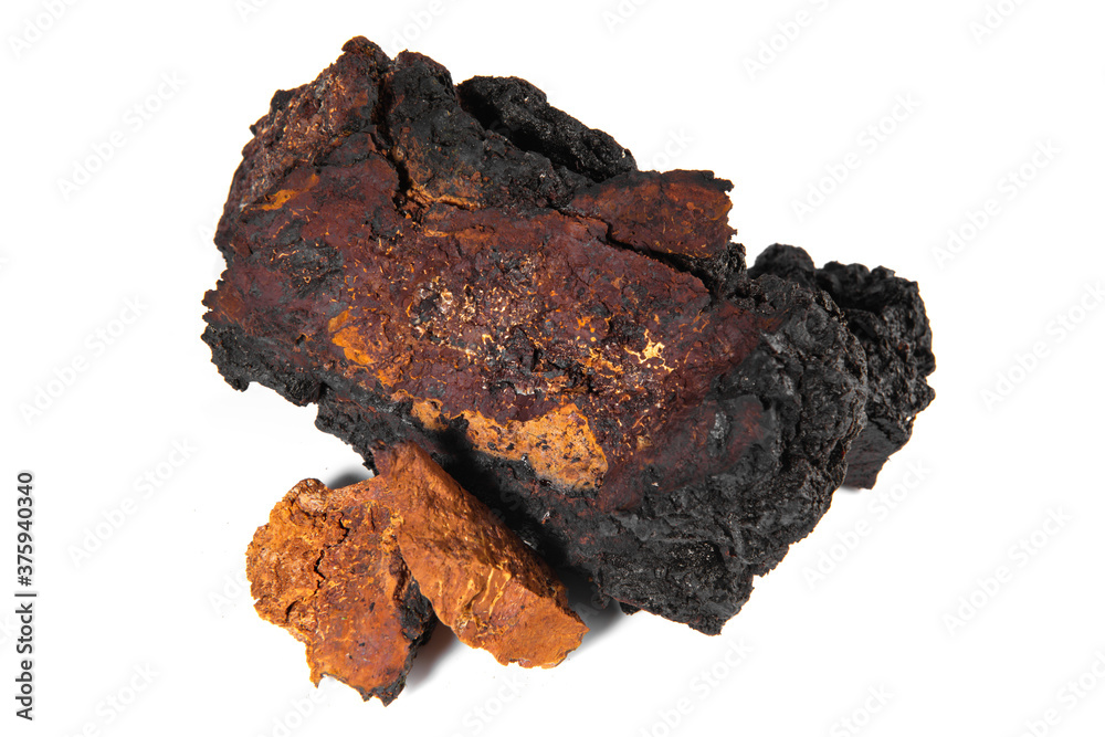 Chaga Mushroom with Pieces isolated - Natural Minerals