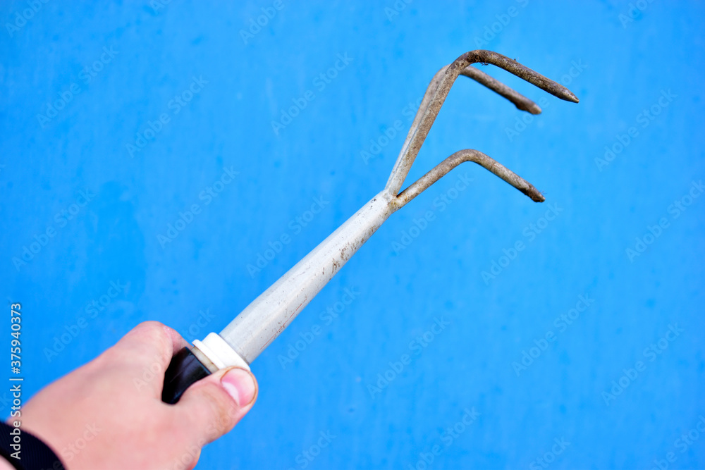 Small green garden rake in hand on a blue background Small green garden rake in hand on a blue background
