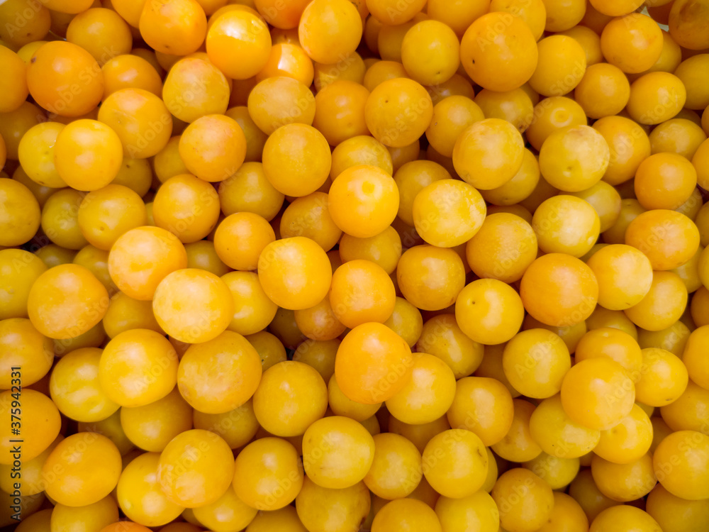 Juicy ripe yellow cherry plum, harvested in the summer in the garden. Closeup background Juicy ripe yellow cherry plum, harvested in the summer in the garden. Closeup background