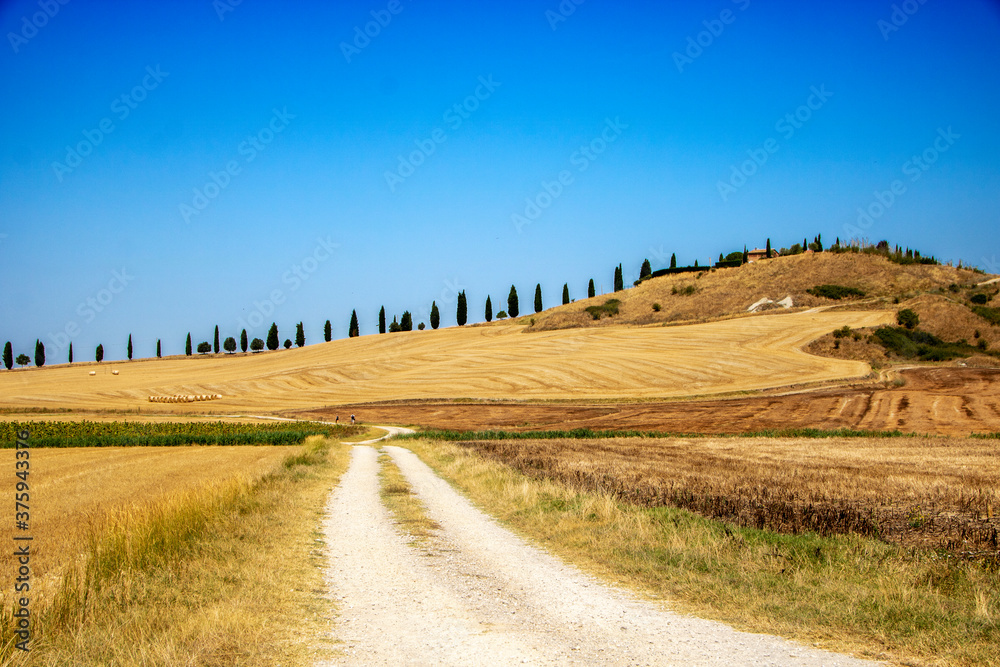 Obraz premium Val d'Orcia