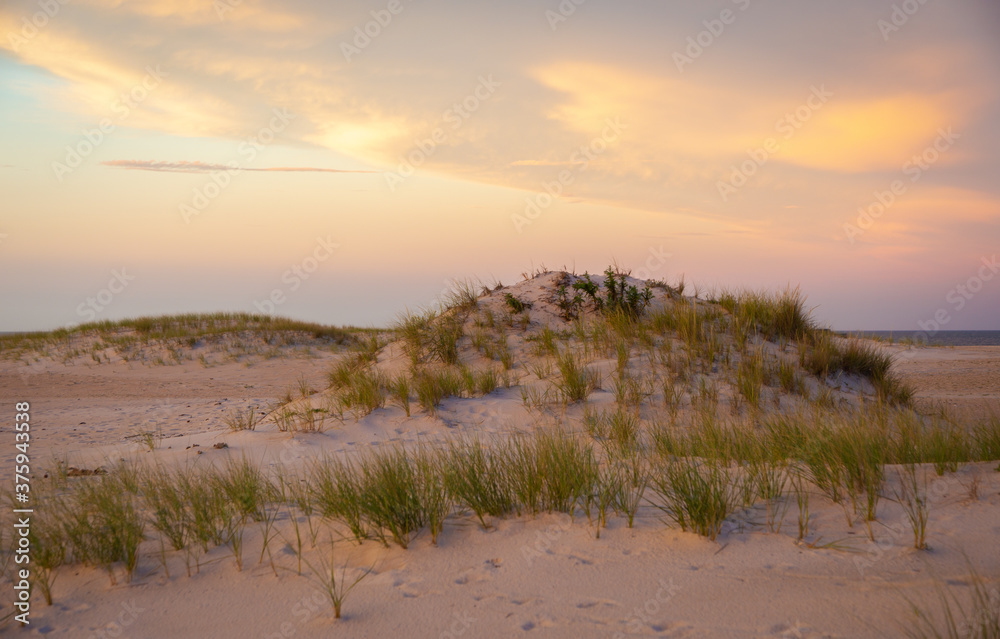 Grass growing from sand dunes at sunset Grass growing from sand dunes at sunset