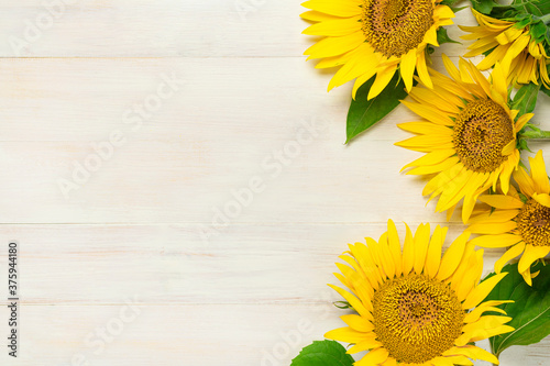 Fototapeta Naklejka Na Ścianę i Meble -  Frame made of Yellow sunflowers on white wooden background top view copy space. Beautiful fresh sunflowers, yellow flowers bouquet. Harvest time, farming Agriculture autumn or summer floral background