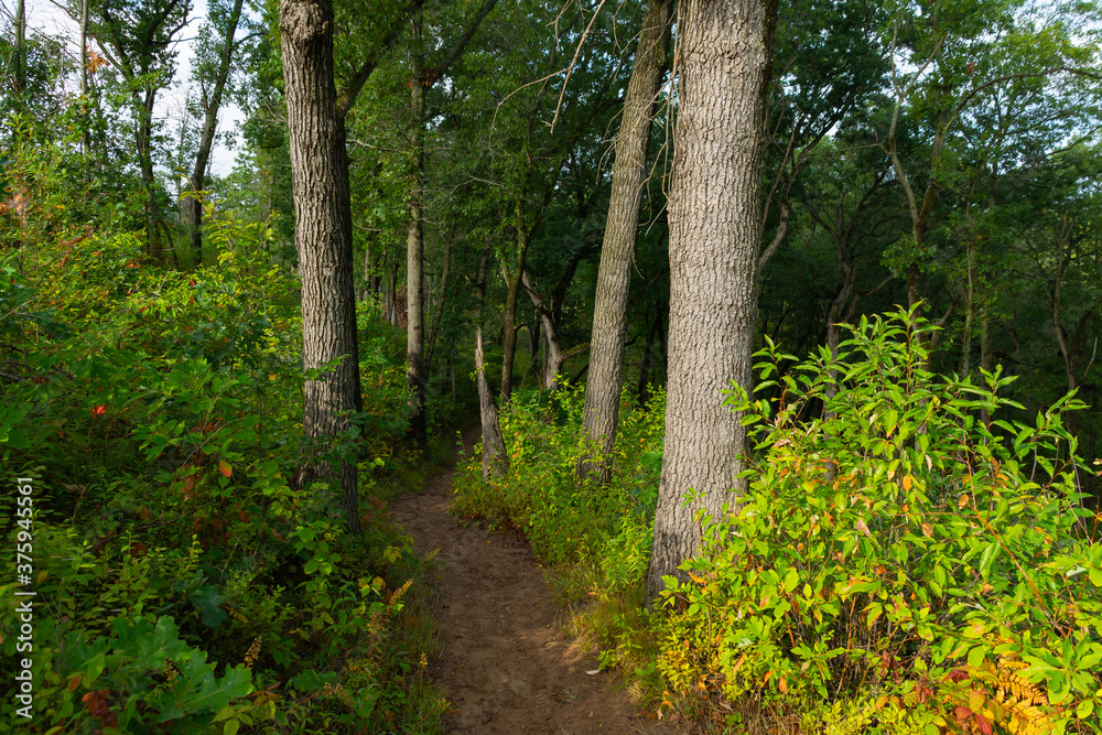 Obraz premium Hiking Trail