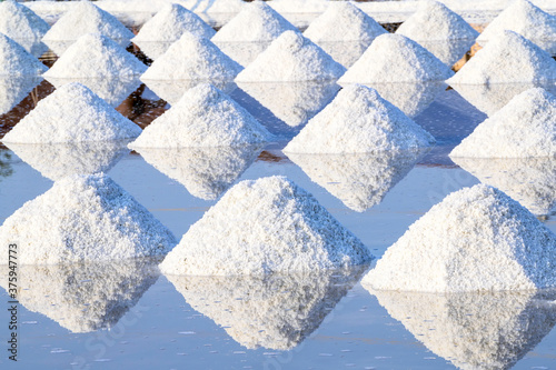 Salt grains are lined up by farmers. photo