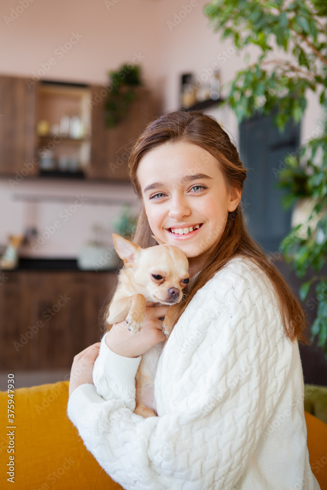 Beautiful smiling girl hugs a chihuahua tightly Beautiful smiling girl hugs a chihuahua tightly