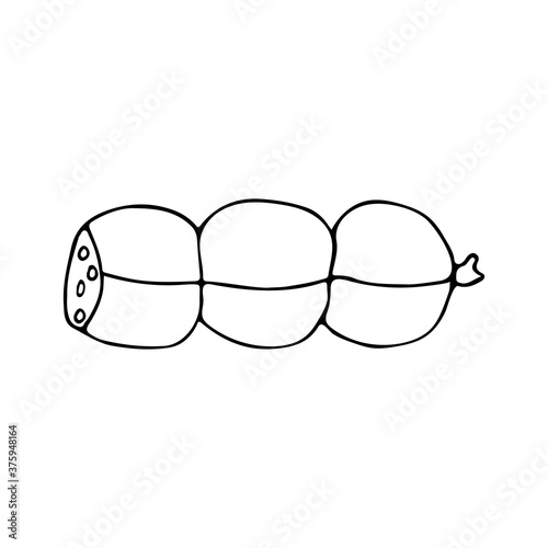 Salami doodle illustration in vector. Hand drawn sausage icon in vector. Doodle sausage icon in vector