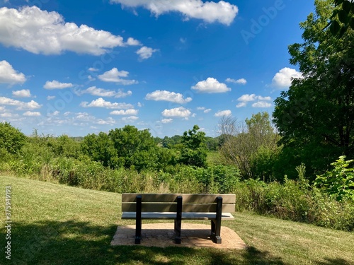 wooden bench in the park with a view