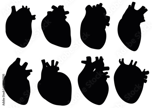 The human heart in the set.