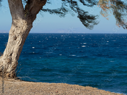 A seascape with a tree on a soft focus background of blue sea with waves and an island in the haze, horizontal orientation, focus on foreground