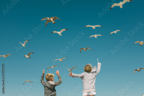 Siblings playing with flock of seagulls flying over them