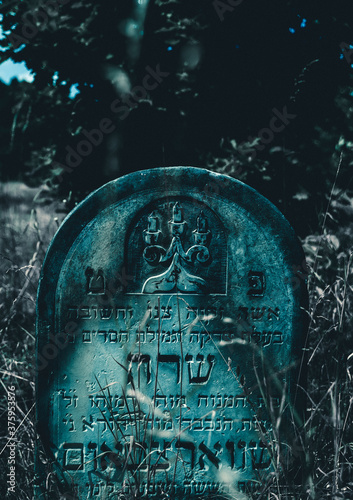 Tombstone at abandoned jewish cemetery in the middle of forest in Zarki, Poland. 18th century graveyard hidden in the woods. Forgotten tombstones and matzevot of dead jews are deteriorating.  photo