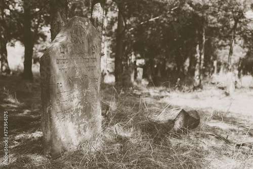 Tombstone at abandoned jewish cemetery in the middle of forest in Zarki, Poland. 18th century graveyard hidden in the woods. Forgotten tombstones and matzevot of dead jews are deteriorating.  photo