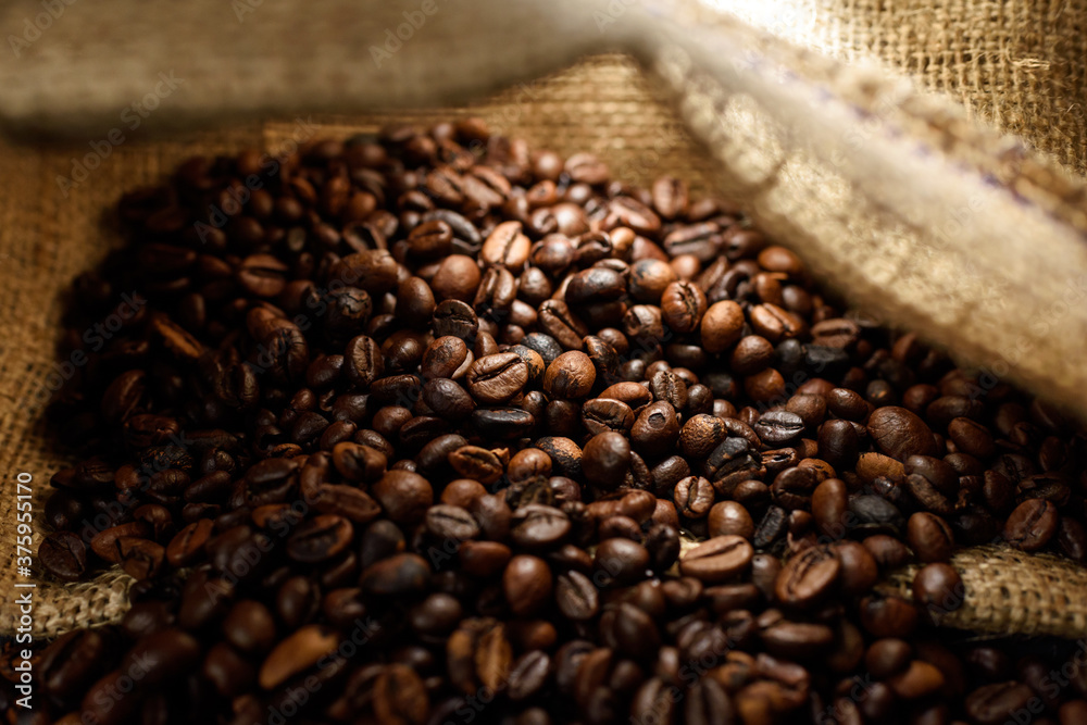 Fototapeta premium Coffee beans closeup grain inside burlap. Light passes through the bag and illuminates the grains. Close-up macro shot, selective focus.