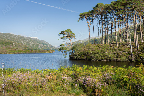 Foto Eilean Na Moine islet at Loch Eilt, Scotland, UK