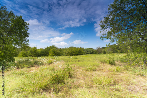 Texas City Conservation Area on a sunny September day.