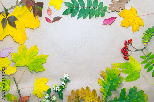 Yellow autumn leaves. Paper for packaging. Autumn leaves lie on paper. Space for text.