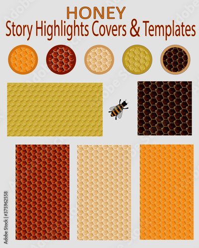 Story Highlight Covers and Templates like honeycomb with different sorts of honey. For design of social media and blogs. Best decoration of your texts and photos. 