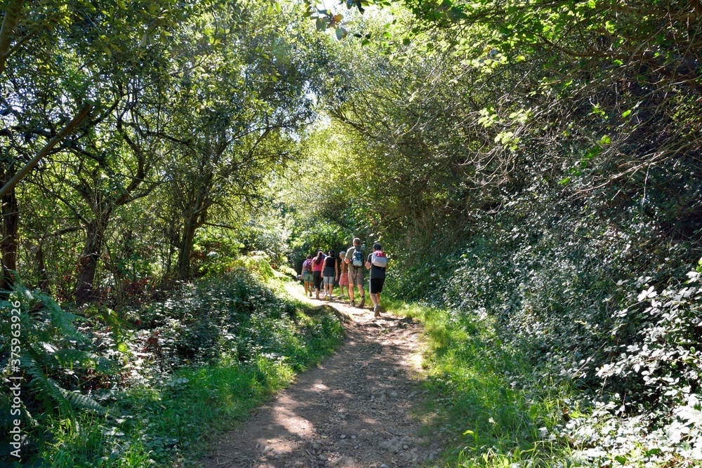Fototapeta premium Retired hikers on the path in brittany France