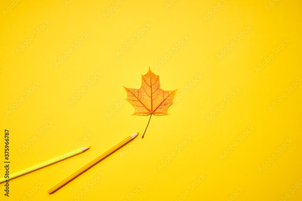 Obraz premium creative fall color symbol. minimal trendy design composition. golden maple leaf with colour pencil over yellow background