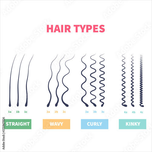 Straight, wavy, curly, kinky hair types classification system set. Detailed human hair growth style chart. Health care and beauty concept. Vector illustration.