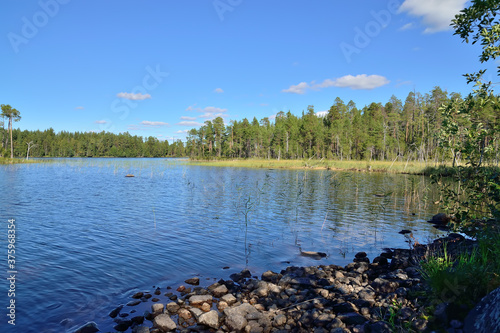 Karelian landscape - rocks, pine trees and water. Lake Keret, Northern Karelia, Russia photo