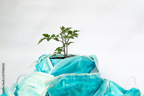 Wallpaper Mural Plant growing in the middle of disposable face masks. Torontodigital.ca