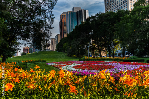 The Prarie Garden Along Michigan Avenue, Grant Park, Chicago, IL, USA photo