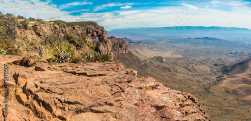 Agave On The South Rim  And The Chisos Mountains Across The Chihuahuan Desert, Big Bend National Park, Texas, USA photo