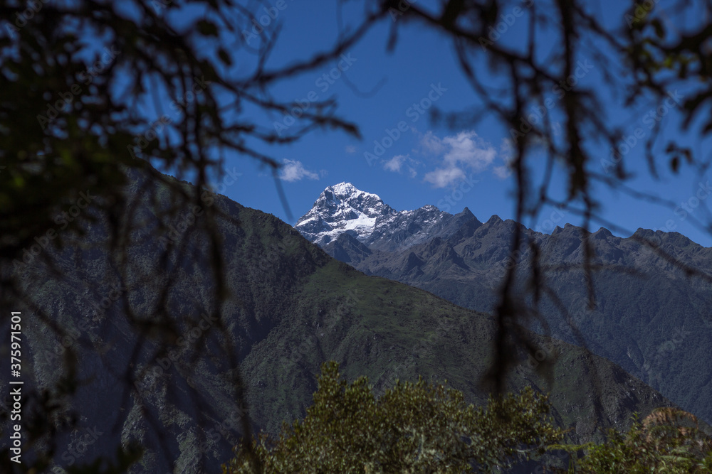Beautiful landscape at the top of the Andean mountains as the protagonist of a snowy background framed by tree branches
