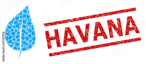 Recursion mosaic plant leaf and Havana corroded stamp imitation. Stamp seal includes Havana caption between parallel lines. Vector mosaic is done of repeating plant leaf icons.