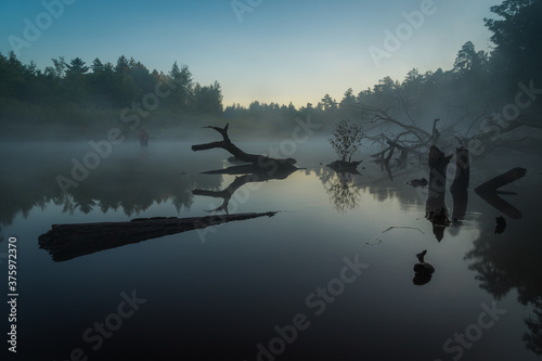 ducks in the lake © Evgenii Ryzhenkov