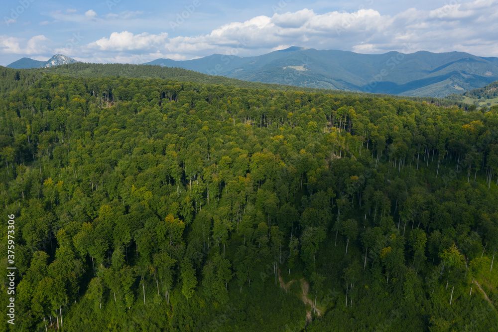 Forested mountains, in the Southern Carpathians. Aerial view Forested mountains, in the Southern Carpathians. Aerial view
