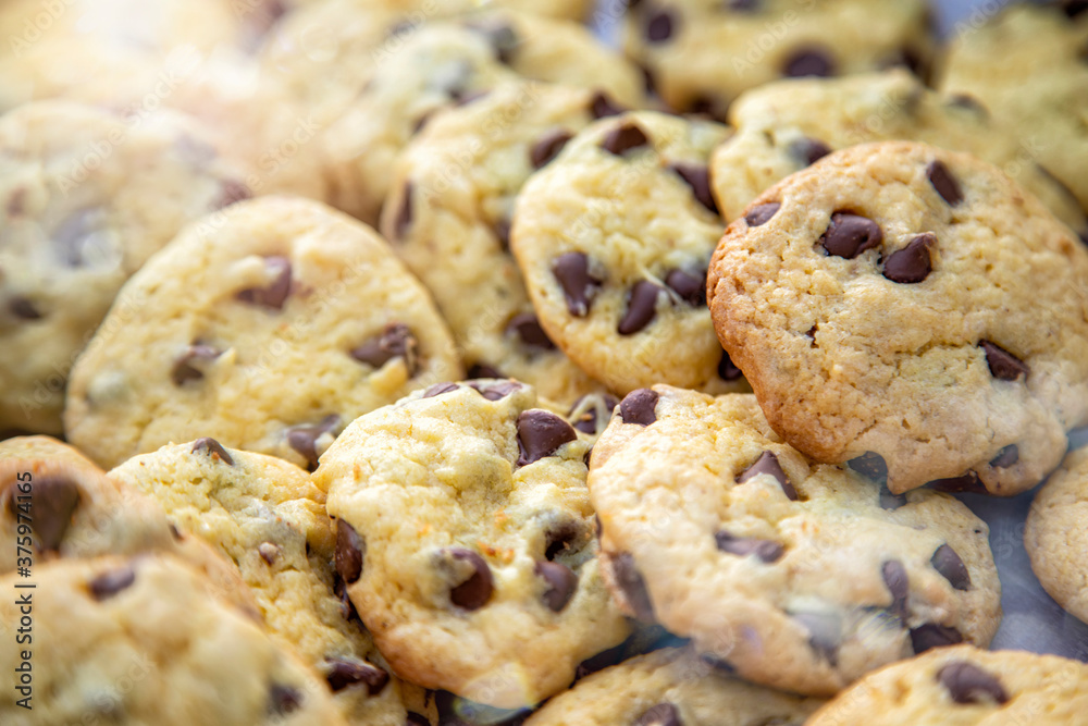 Close up of group of chocolate chip cookies with sun flare Close up of group of chocolate chip cookies with sun flare
