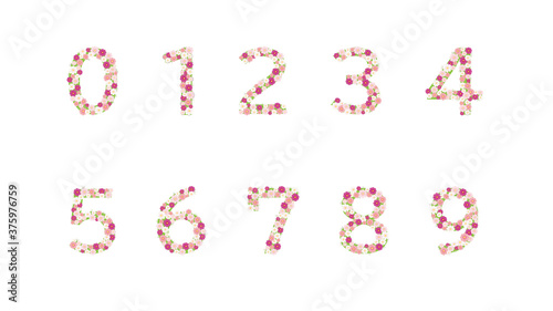 秋桜の花数字(0～9)
