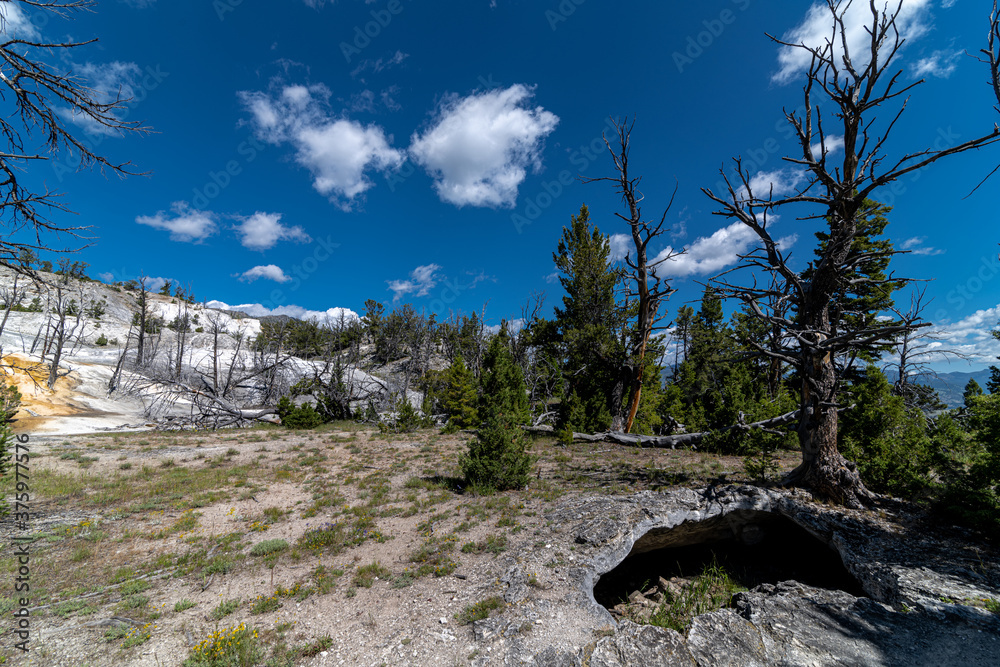 Mammoth Spring Area in the Yellowstone Park, Yellowstone National Park