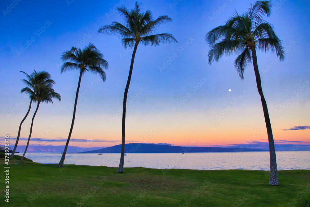 Moon setting over Lanai with palm trees at airport beach on Maui. Moon setting over Lanai with palm trees at airport beach on Maui.