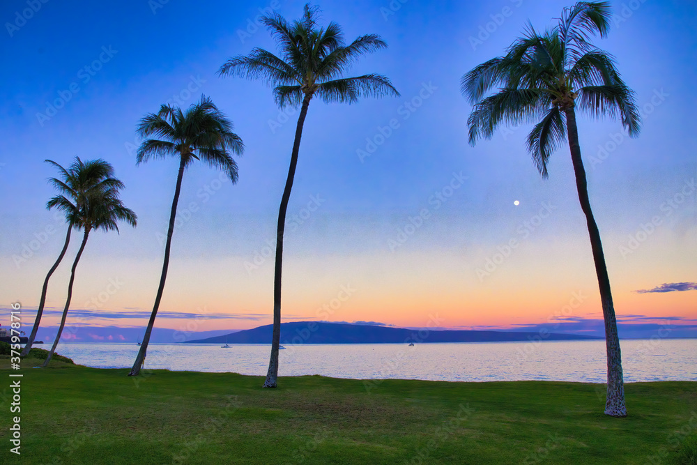 Moon setting over Lanai with palm trees at airport beach on Maui.