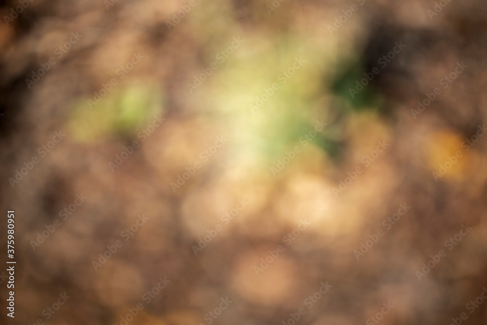 Background out of focus for use in portraits Background out of focus for use in portraits