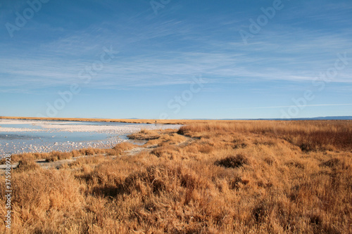 bush lake desert wheat sky