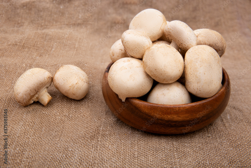 mushroom champignon isolated on brown burlap. mushroom champignon isolated on brown burlap.